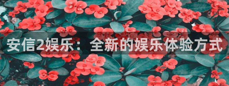 下载星空娱乐：安信2娱乐：全新的娱乐体验方式