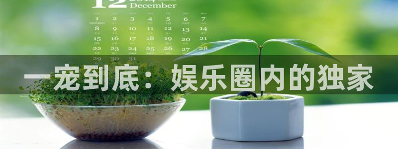 星空娱乐93299：一宠到底：娱乐圈内的独家