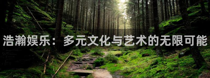星空娱乐网址：浩瀚娱乐：多元文化与艺术的无限可能