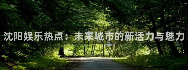 93299星空娱乐：沈阳娱乐热点：未来城市的新活力与魅力