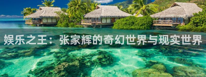 星空娱乐游戏：娱乐之王：张家辉的奇幻世界与现实世界