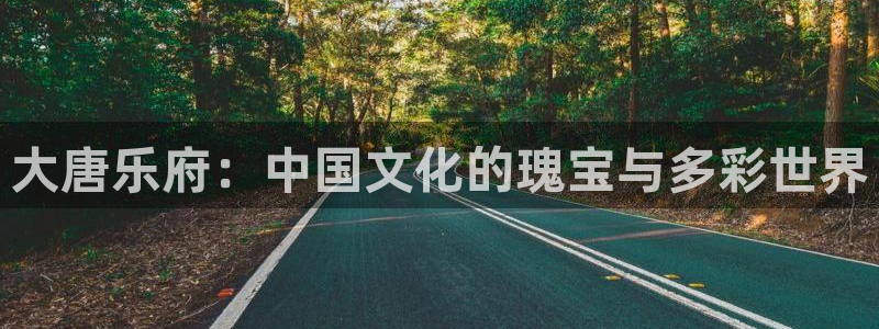 93299星空娱乐官网版：大唐乐府：中国文化的瑰宝与多彩世界