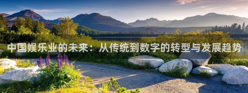 星空娱乐app安装：中国娱乐业的未来：从传统到数字的转型与发展趋势