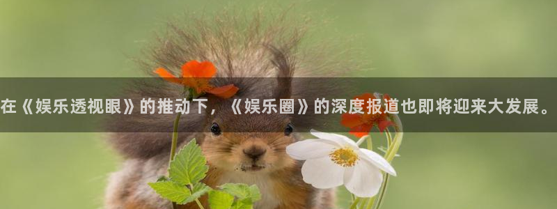 星空娱乐官网：在《娱乐透视眼》的推动下，《娱乐圈》的深度报道也即将迎来大发展。